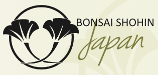 Bonsai Shohin Japan