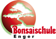 Bonsai_Enger