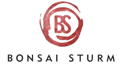 Bonsai Sturm