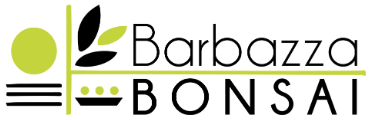 Barbazza Bonsai