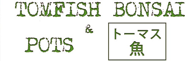 Tomfish Bonsai & Pots